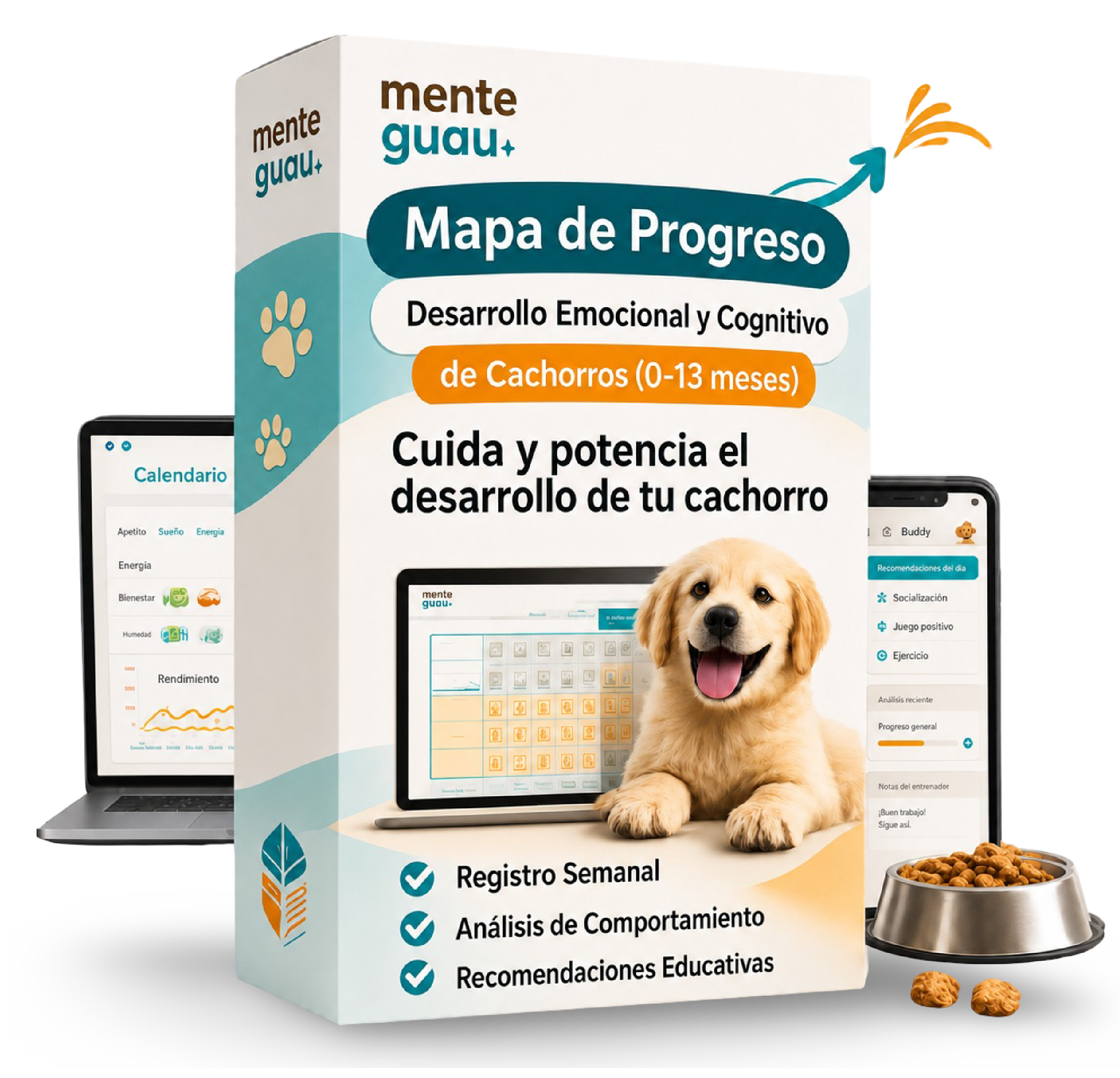 Mapa de Progreso